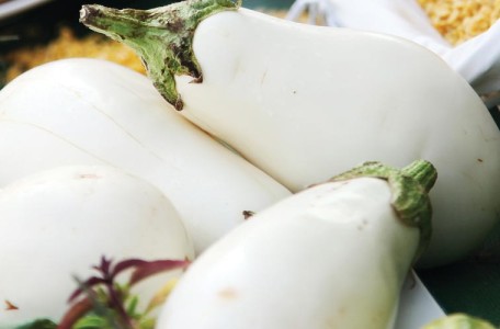 White Eggplant - Santorini