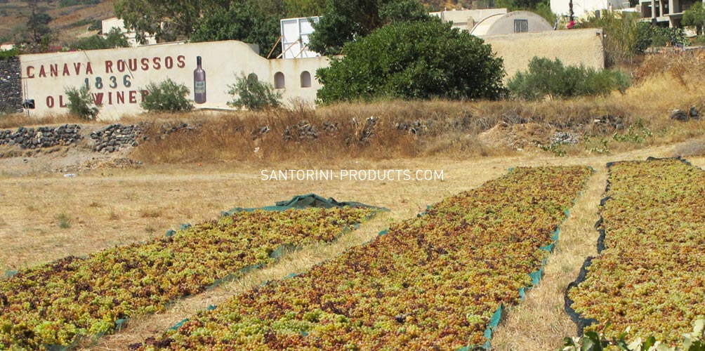 santorini-products-wineries-12