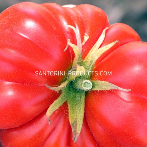 tomato-santorini-products-1